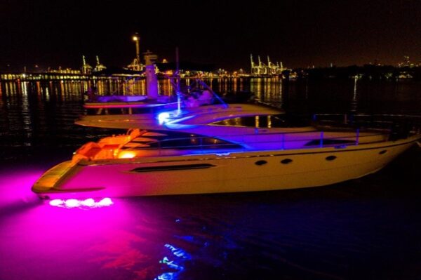 65FT BELLEZA - Image 33